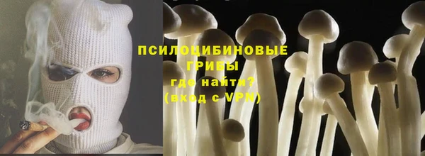спайс Алзамай