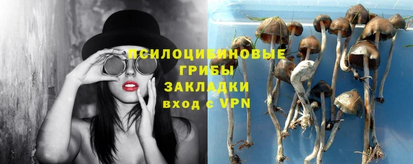 СК Абаза