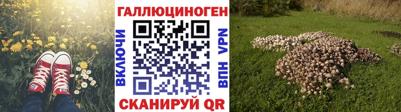 купить закладку Осташков Псилоцибиновые грибы MAGIC MUSHROOMS